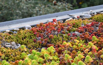 the cost of Seilebost green roof installation