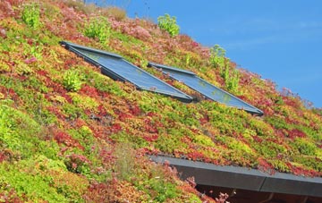 Seilebost living roof systems